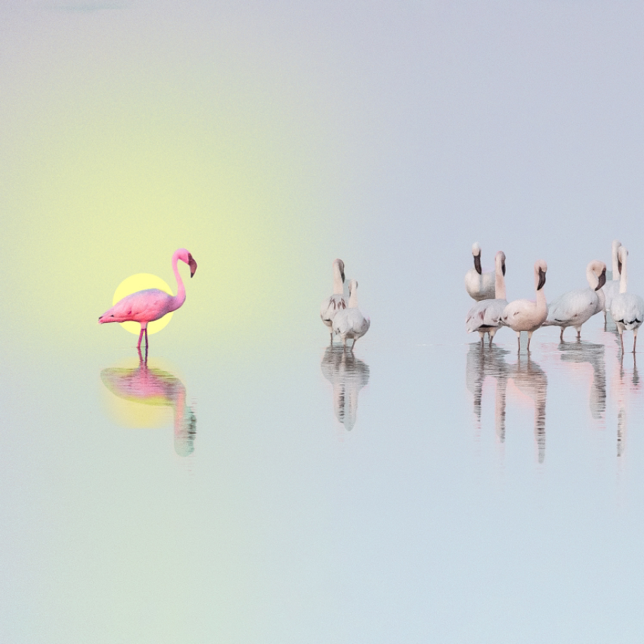 Pink flamingo standing out from white flamingos for brand positioning blog
